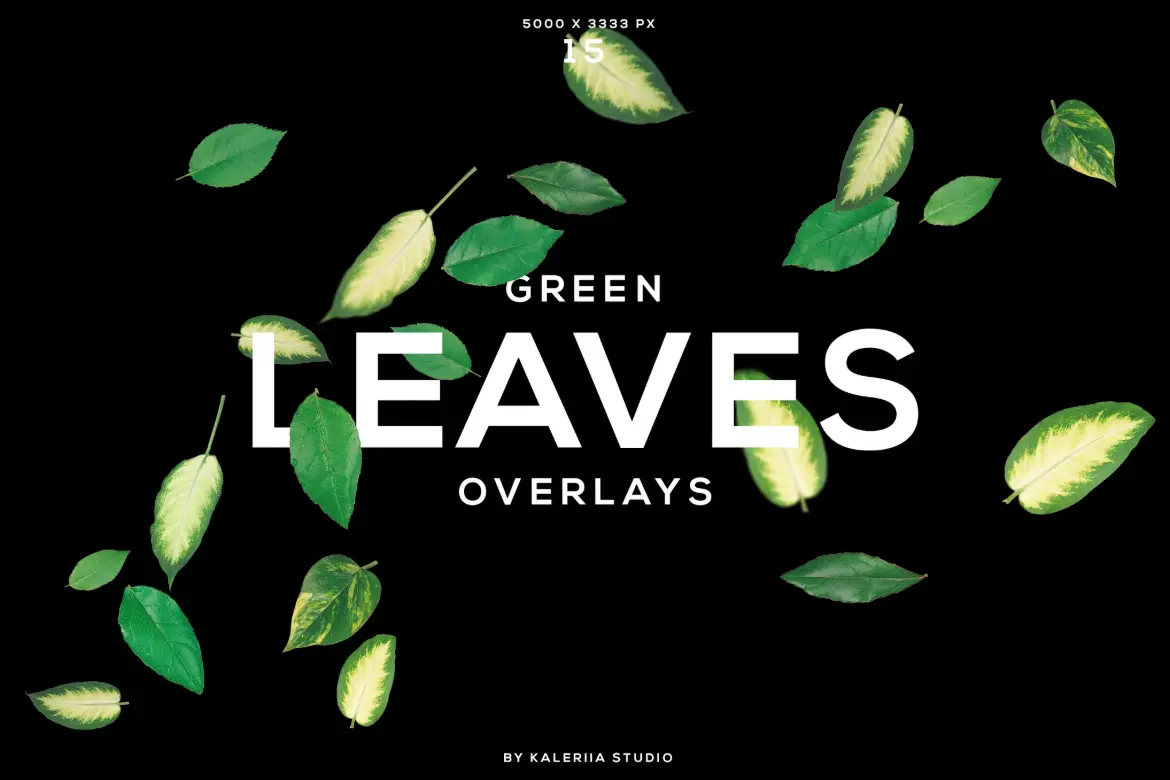 10款绿色叶子叠加纹理