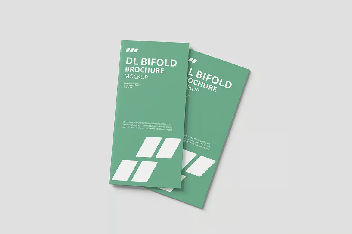 DL 双折叠宣传册模型