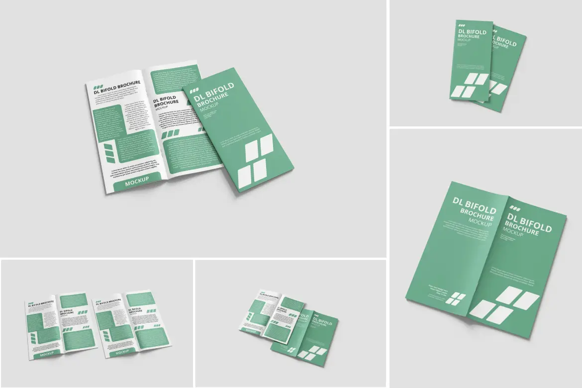 DL 双折叠宣传册模型