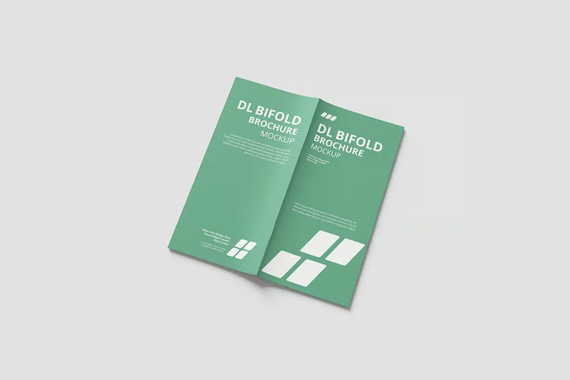 %title插图%num DL 双折叠宣传册模型