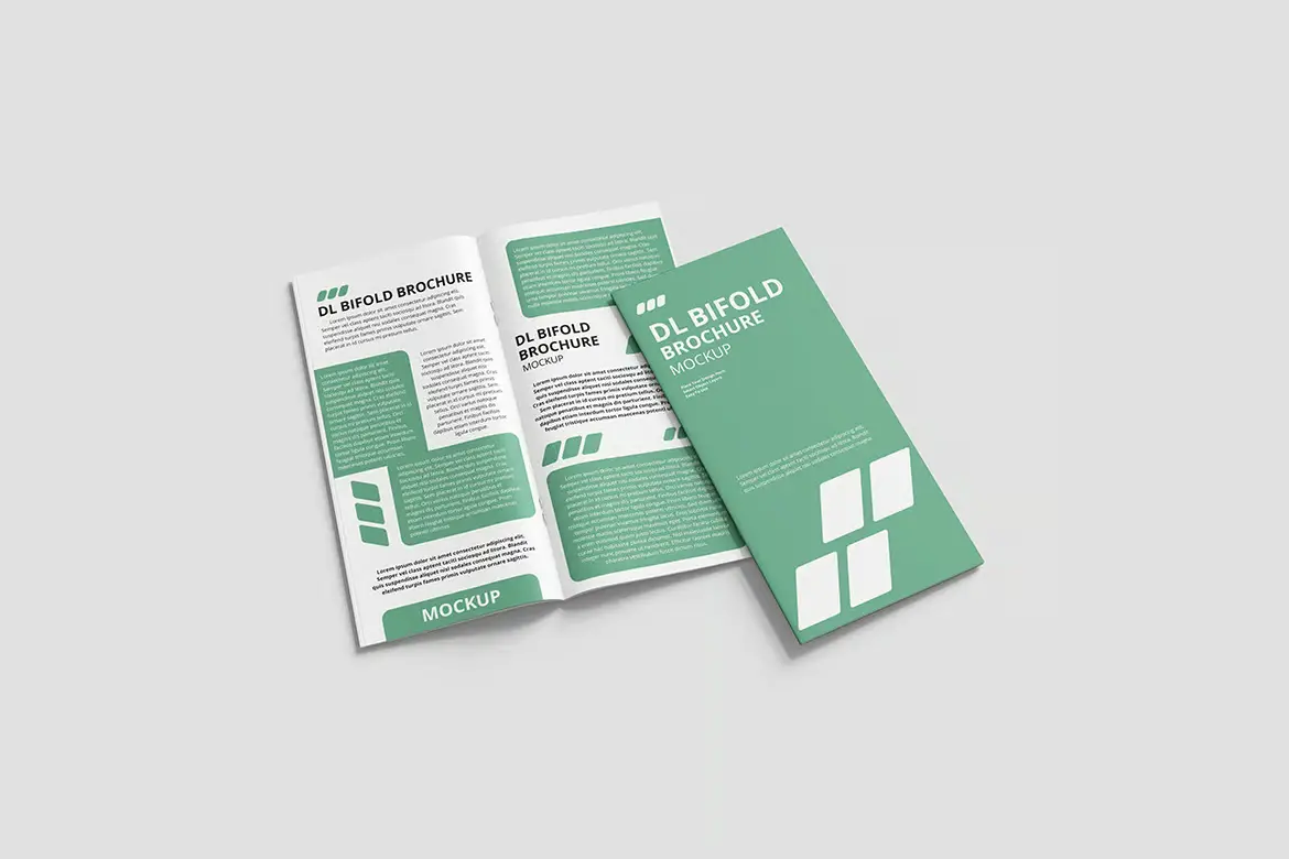 DL 双折叠宣传册模型
