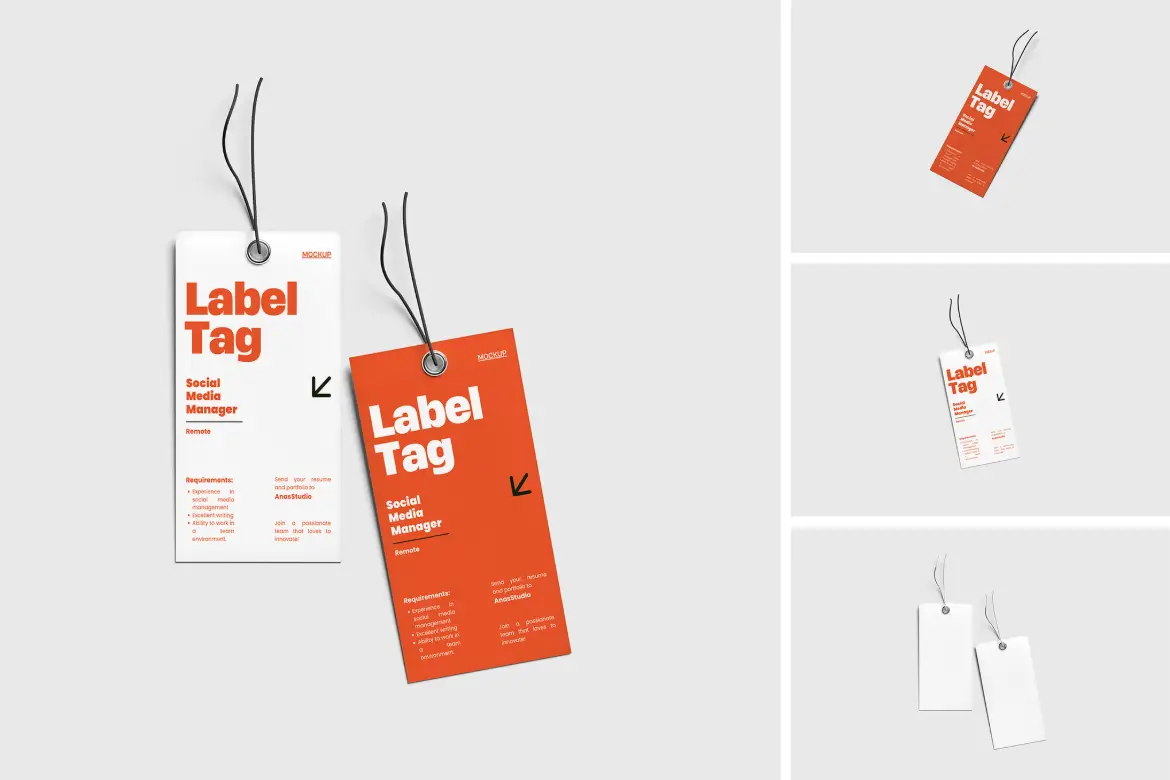 3套高分辨率标签模型PSD样机