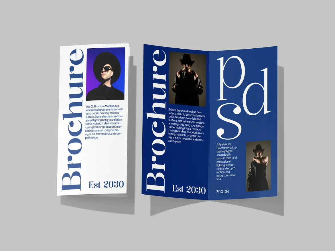 %title插图%num 3套DL尺寸宣传册模型PSD样机