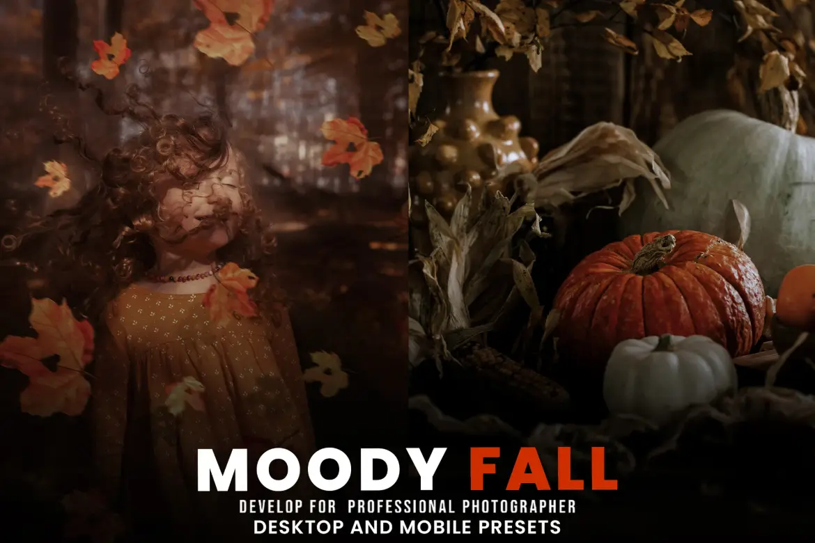 情绪秋季Lightroom预设包人像街拍秋季风景摄影电影感调色滤镜