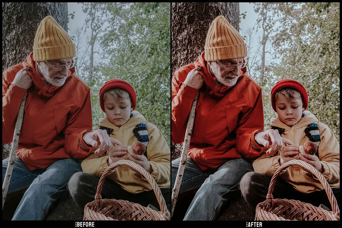 情绪秋季Lightroom预设包人像街拍秋季风景摄影电影感调色滤镜