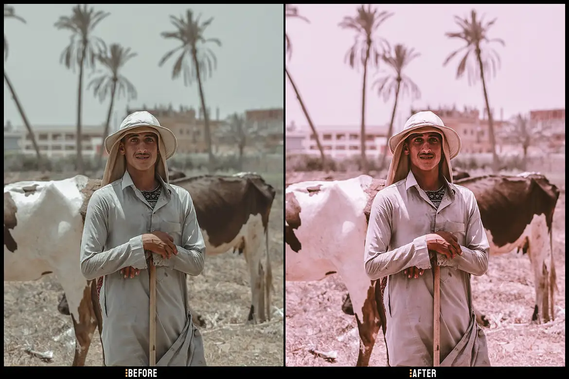 暖粉色调Lightroom预设温柔ins风人像生活LR/PS调色滤镜