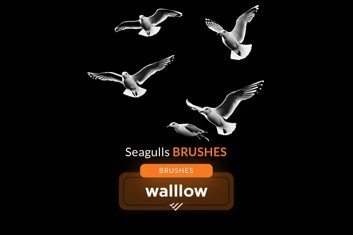 15款海鸥PS笔刷叠加素材海滩风光人像摄影后期合成元素