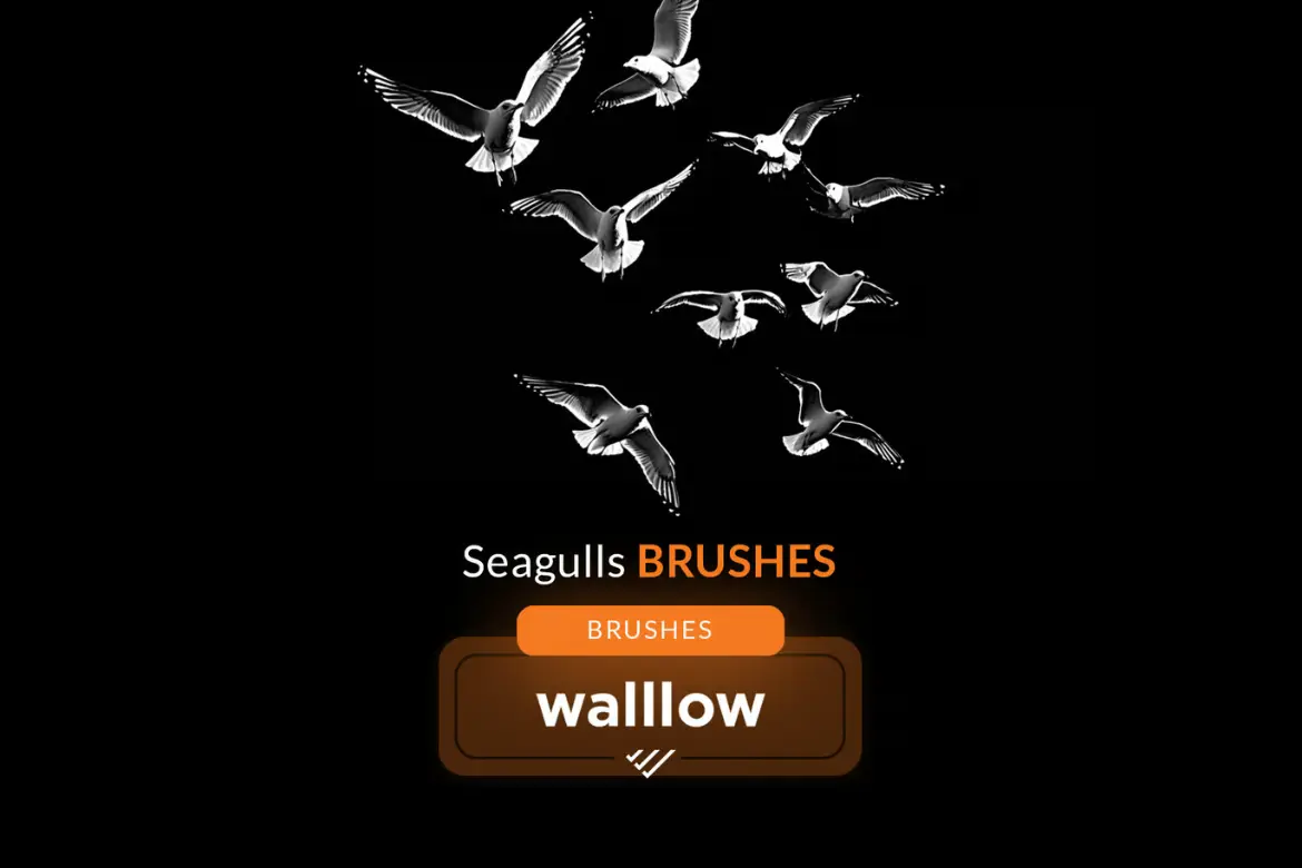 15款海鸥PS笔刷叠加素材海滩风光人像摄影后期合成元素