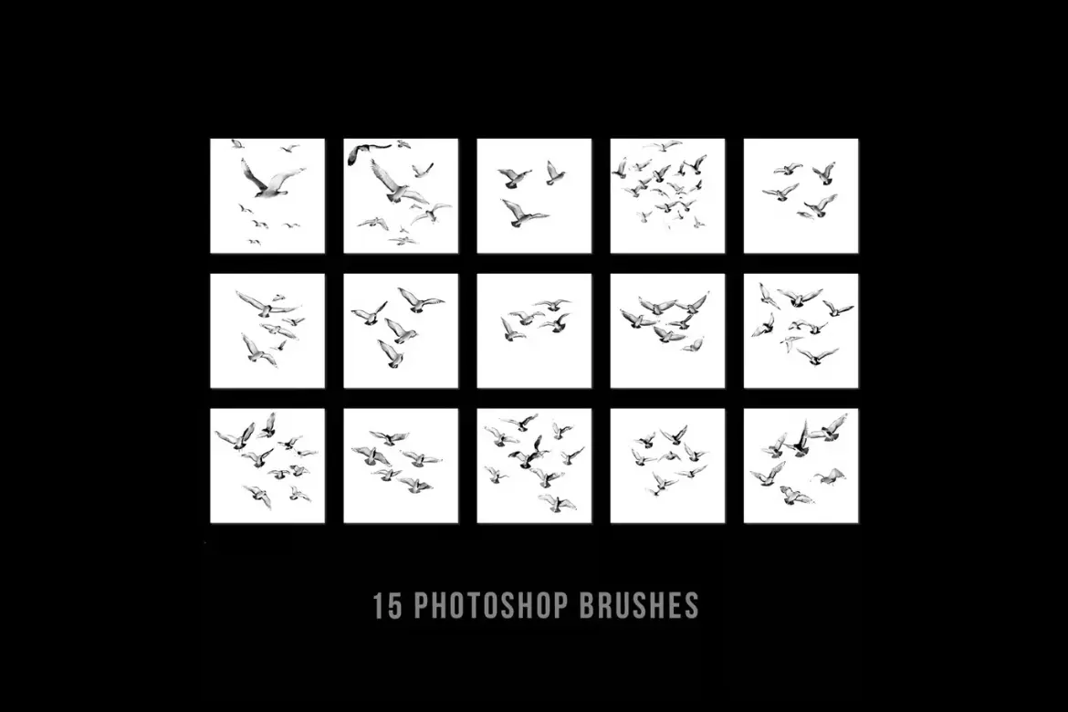 15款海鸥PS笔刷叠加素材海滩风光人像摄影后期合成元素