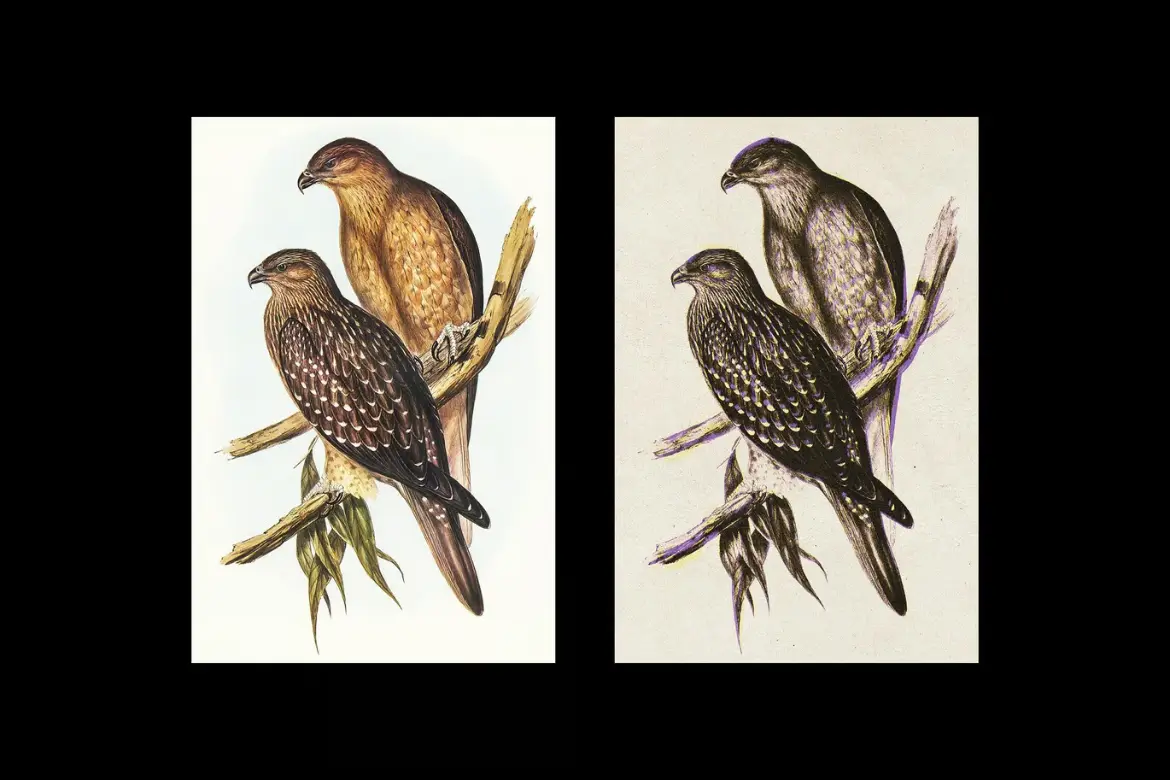 复古纸张印刷PSD照片特效 Vintage Paper Print Effect