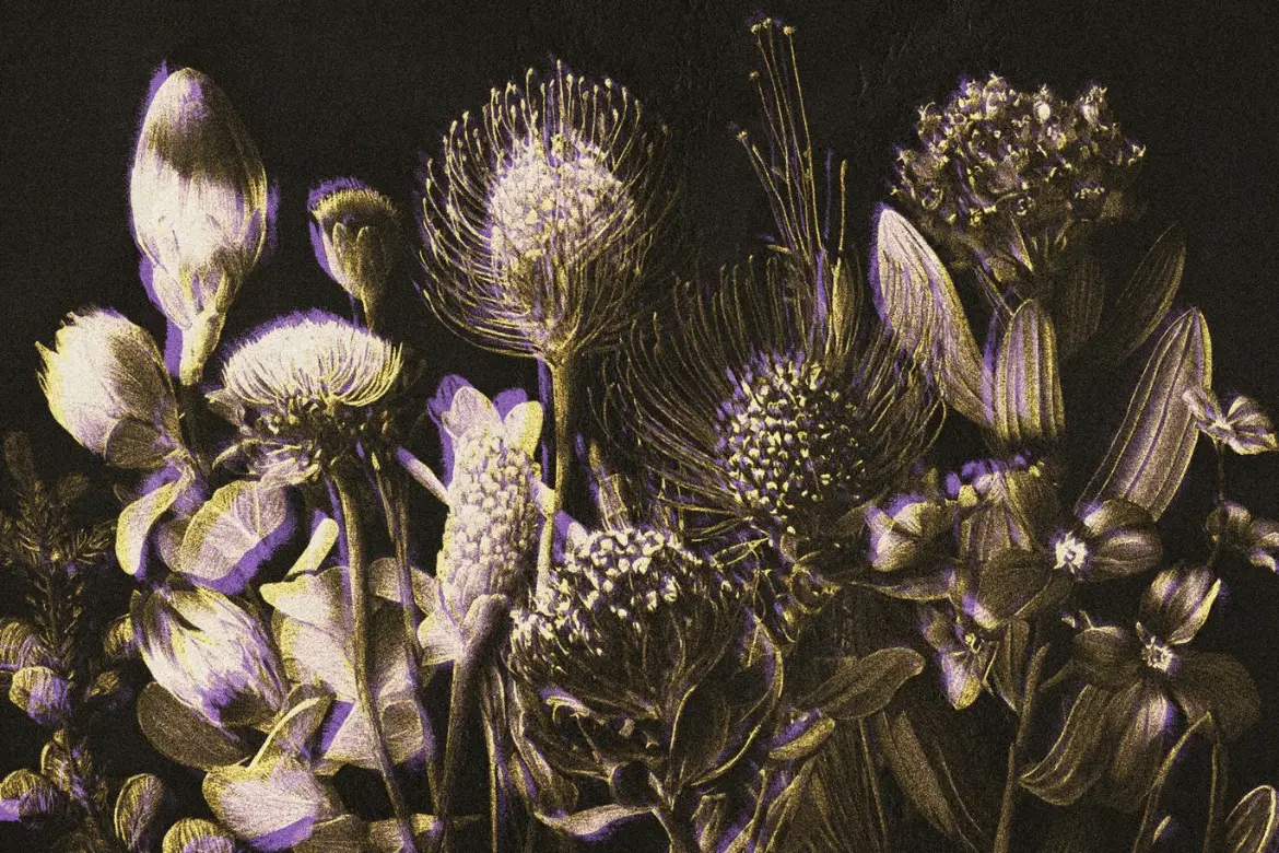 复古纸张印刷PSD照片特效 Vintage Paper Print Effect