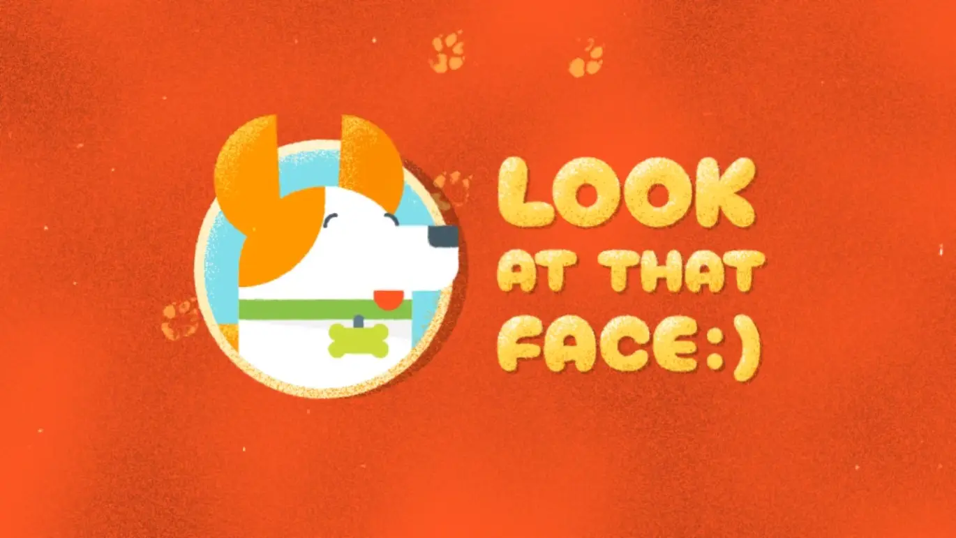 宠物美容沙龙宣传片AE模板 Dog Grooming Salon Promo