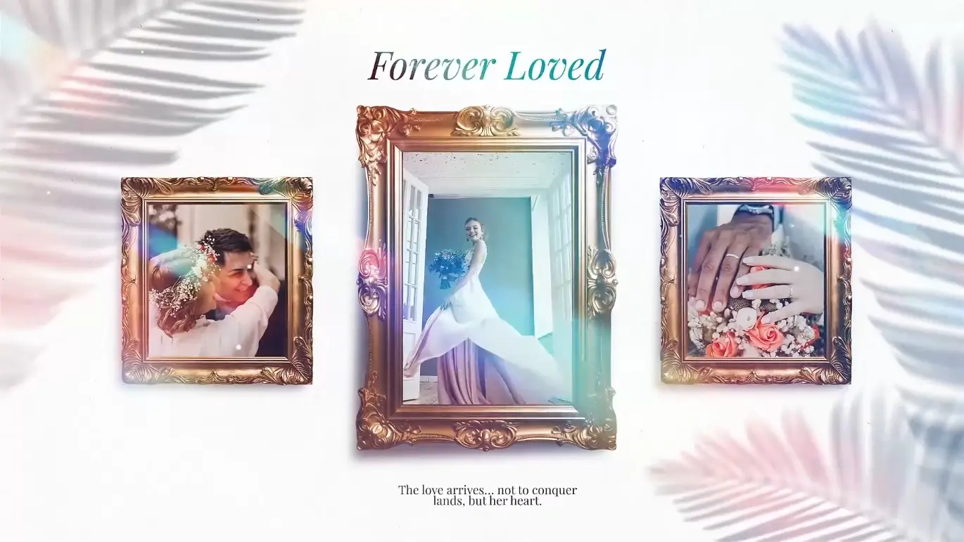 婚礼金框相册PR幻灯片模板 Wedding Golden Frame Gallery