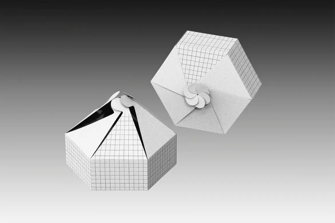 纸质餐盒PSD样机模板 Paper Food Box Mockup