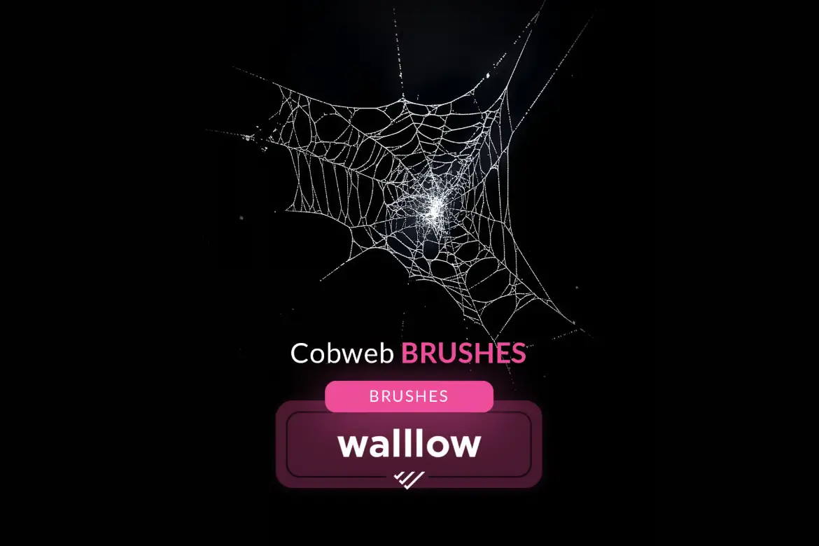 15款逼真蜘蛛网PS笔刷套装 15 Realistic Cobweb Photoshop Brush set