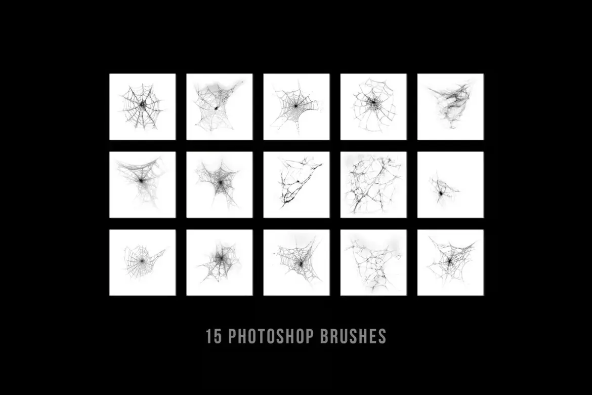 15款逼真蜘蛛网PS笔刷套装 15 Realistic Cobweb Photoshop Brush set