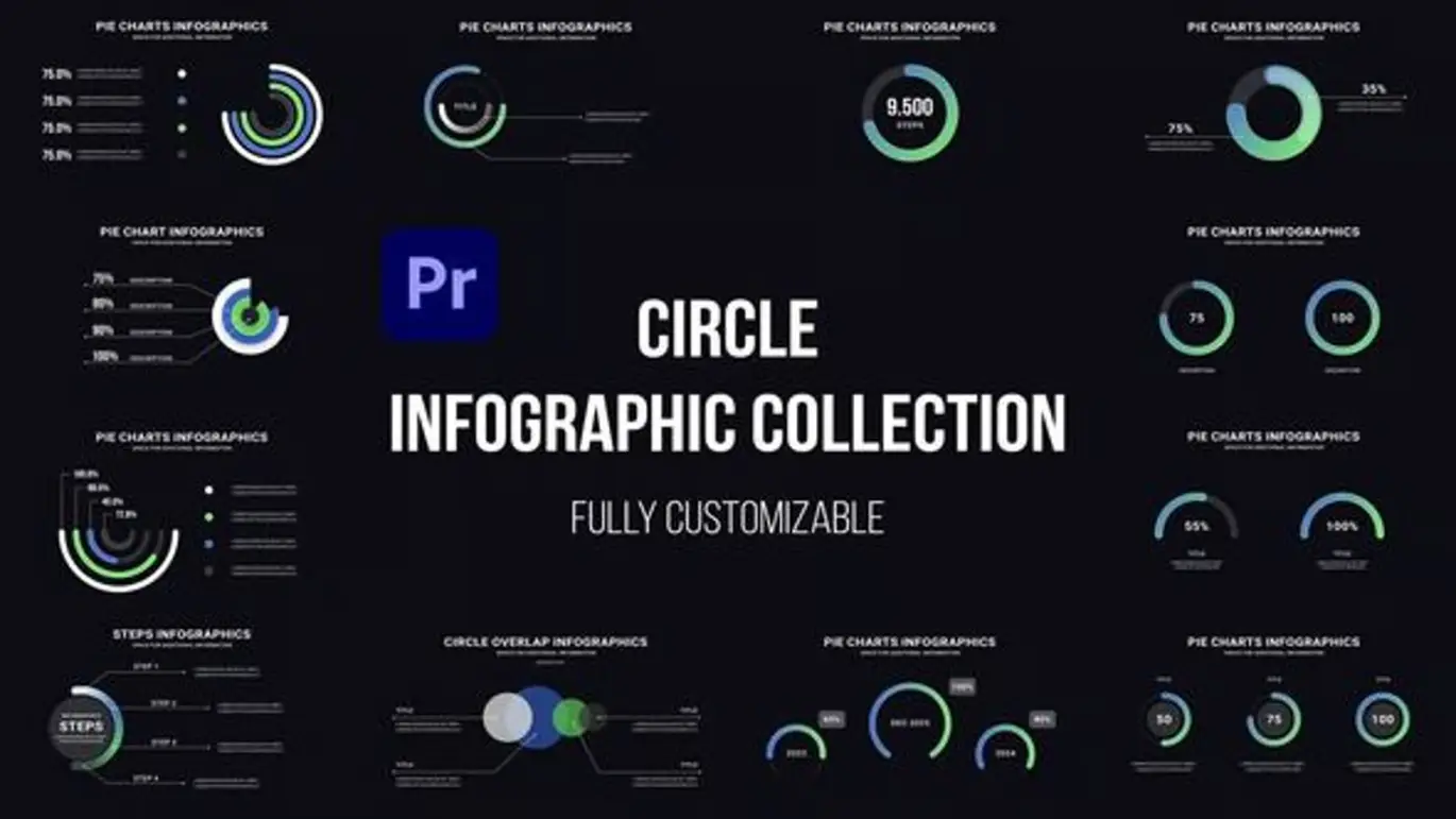 圆形信息图表PR模板 Circle Infographics