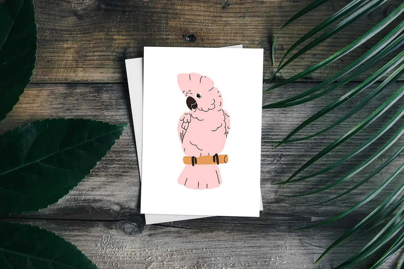 可爱热带丛林鹦鹉小鸟矢量图集 Cute Tropical Jungle Parrot Birds Set