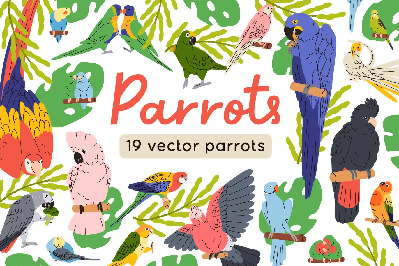 可爱热带丛林鹦鹉小鸟矢量图集 Cute Tropical Jungle Parrot Birds Set