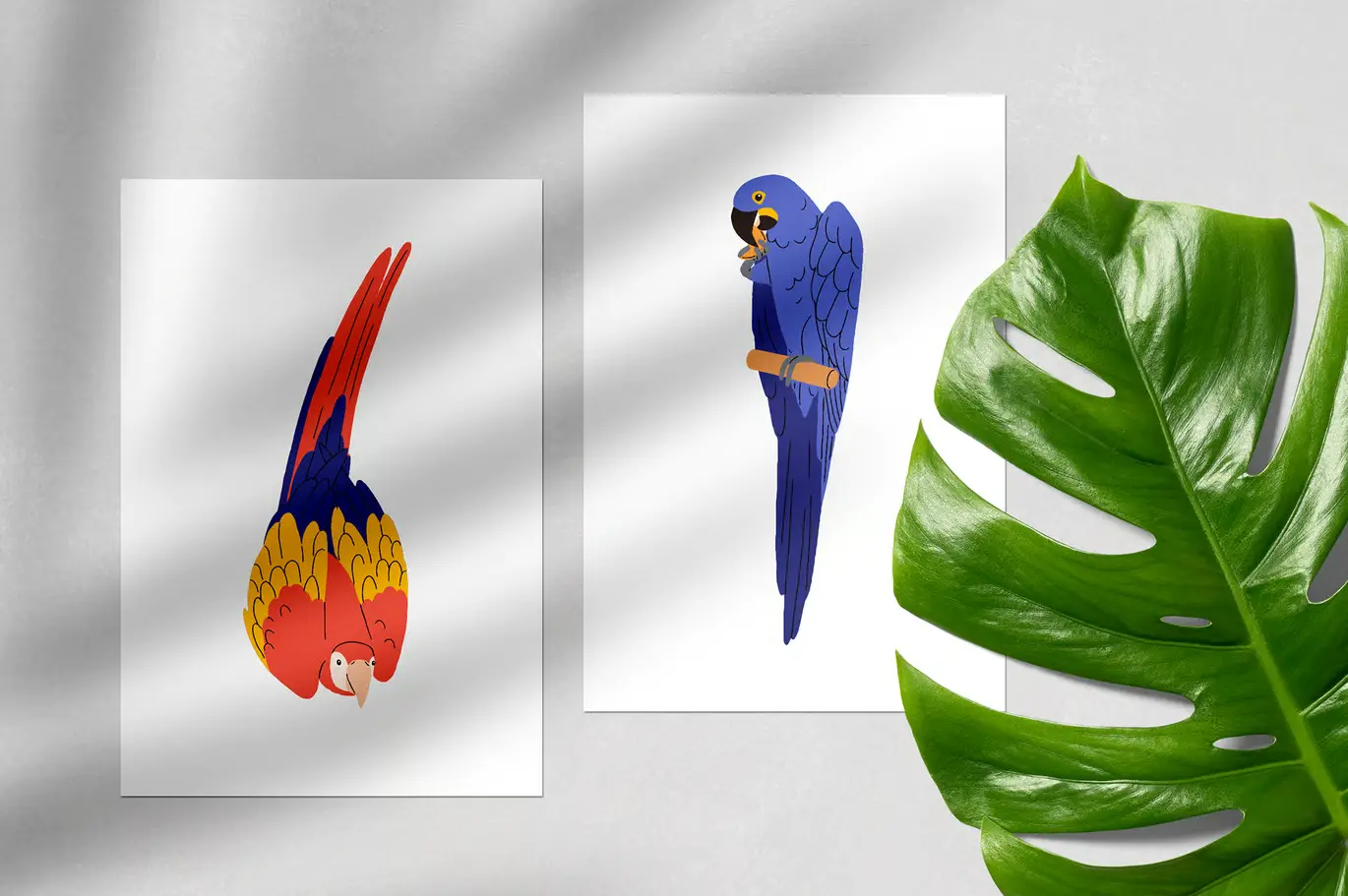 可爱热带丛林鹦鹉小鸟矢量图集 Cute Tropical Jungle Parrot Birds Set