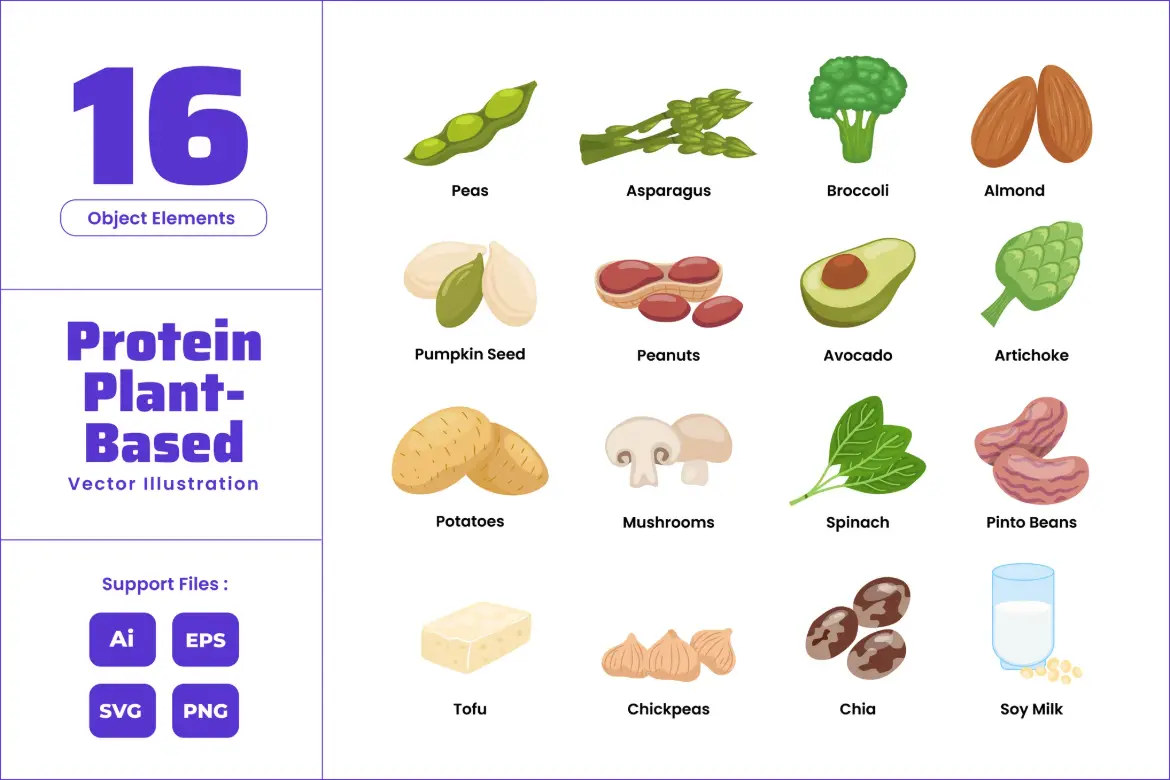 高蛋白植物基营养膳食矢量海报插图AI/EPS/SVG/PNG素食健康饮食设计素材