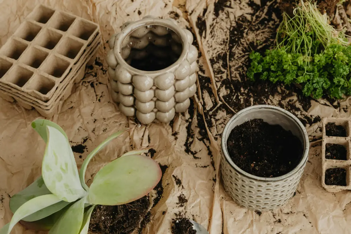 草本色调Lightroom预设自然温暖滤镜 Herbal Tone Presets