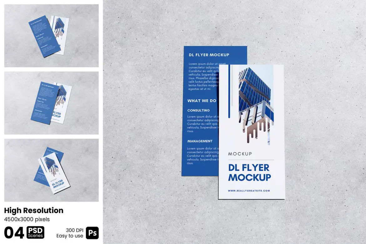 DL传单样机PSD模板 Dl Flyer Mockup