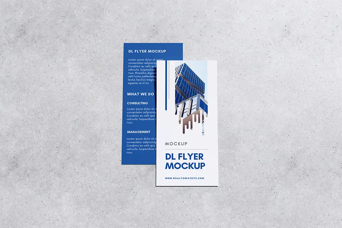 DL传单样机PSD模板 Dl Flyer Mockup